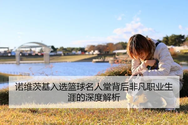 诺维茨基入选篮球名人堂背后非凡职业生涯的深度解析